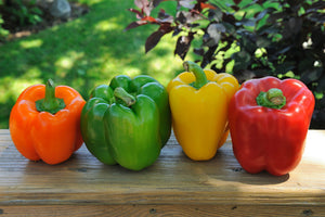 Useful properties of sweet pepper for the body!